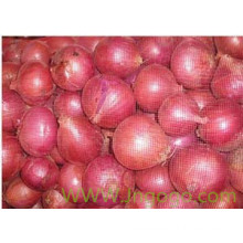 Export High Quality New Crop Red Onion
